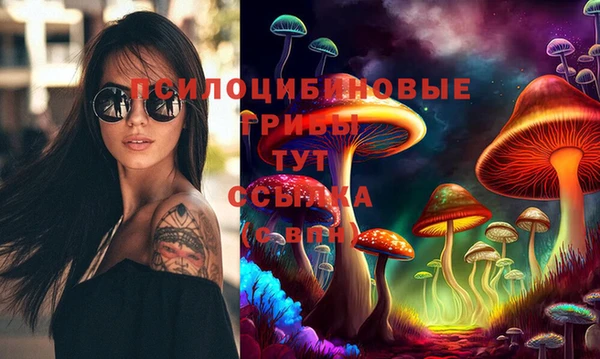 экстази Алексин