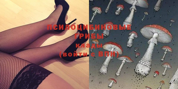 экстази Алексин