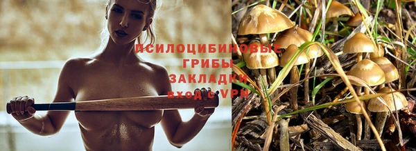 экстази Алексин