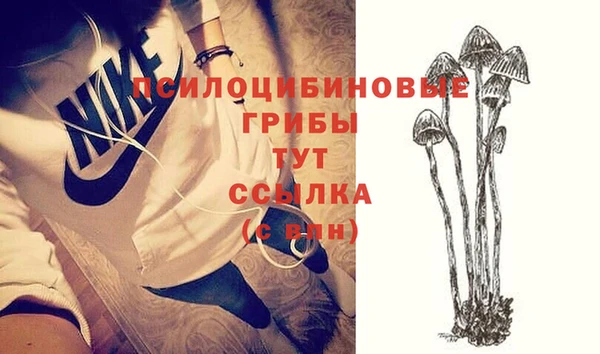 экстази Алексин