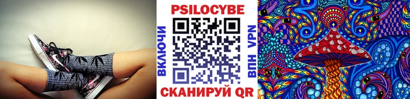 купить закладку  Сибай  блэк спрут как войти  Галлюциногенные грибы Magic Shrooms 
